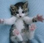Big Hug For You Big Hug For You