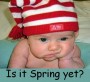 Is It Spring Yet?