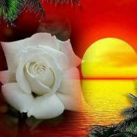 Für einen guten FREUND gute NACHT Sweet Dreams
